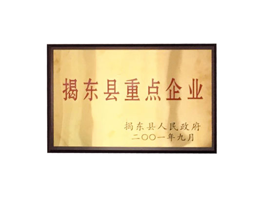 揭東縣重點(diǎn)企業(yè)